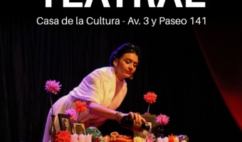 TODO EL ARTE SE VIVE EN LA CASA DE LA CULTURA Y EL AUDITORIO MUNICIPAL